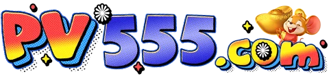 Logo pv555
